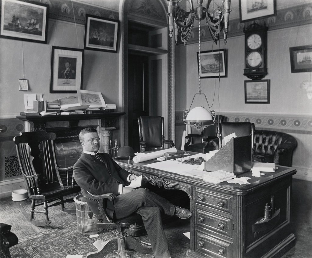 Theodore Roosevelt at Desk Study